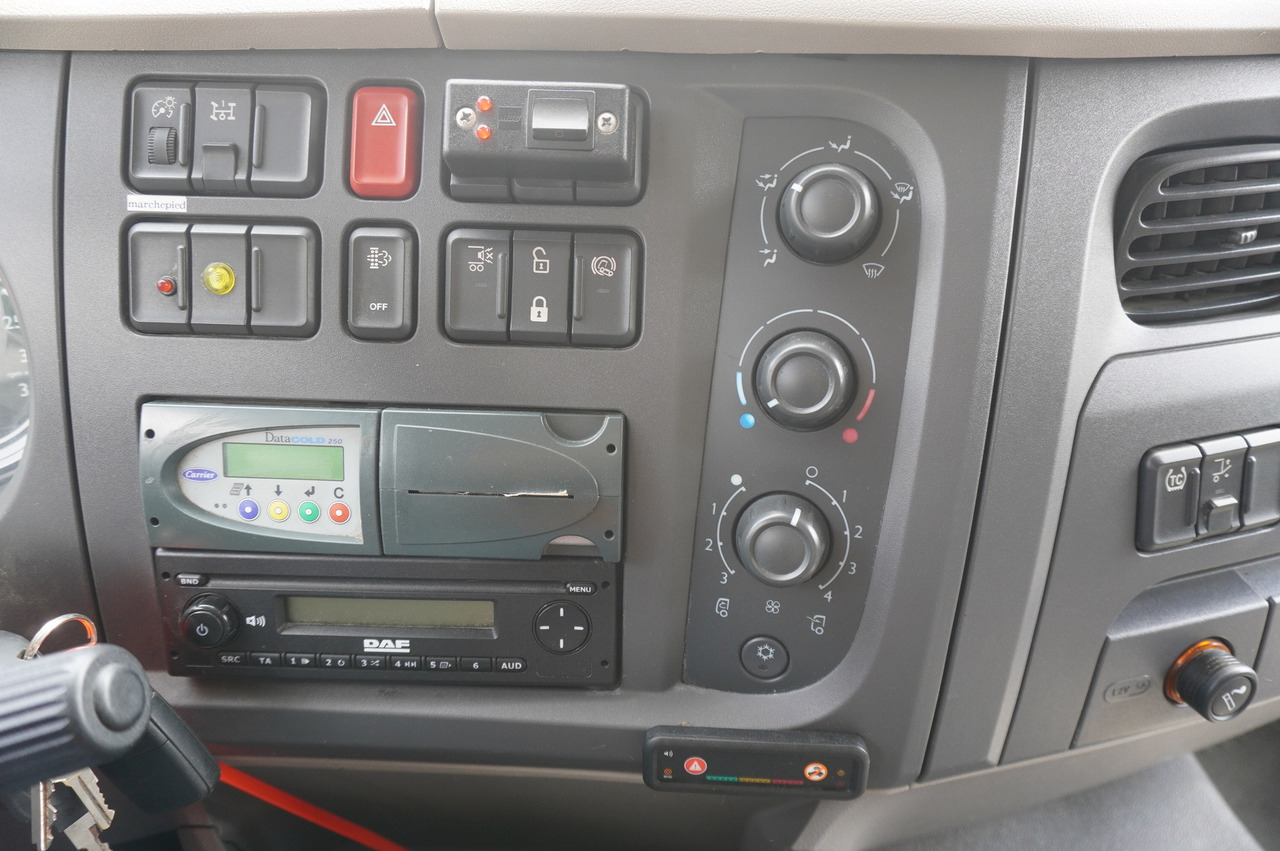 Лизинг на DAF LF 220 / Refrigerator 16 EPAL Multitemp / Carrier Supra 1150 MT / Palfinger 1500 kg DAF LF 220 / Refrigerator 16 EPAL Multitemp / Carrier Supra 1150 MT / Palfinger 1500 kg: снимка 19