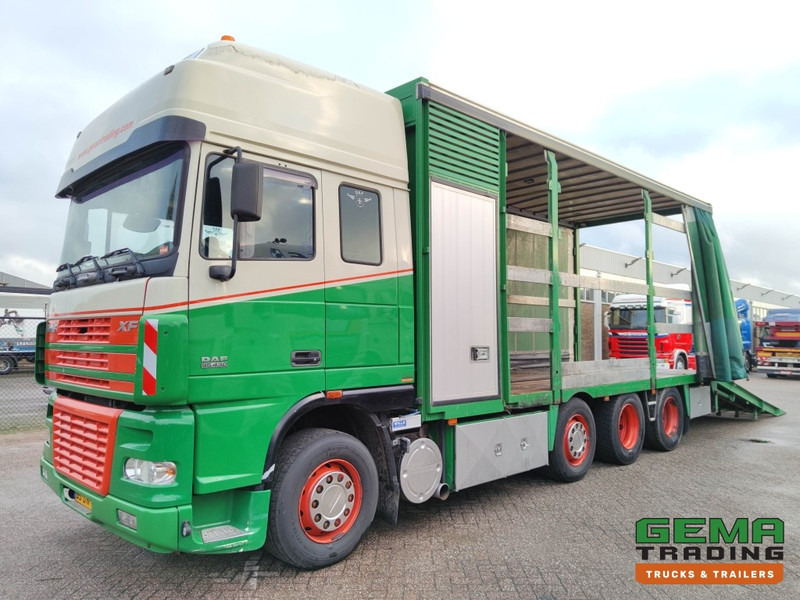 DAF FAK XF95.430 8x2 Super SuperSpaceCab Euro3 - CurtainSider 7.31m + Ramp 16T - MachineTransporter - 6 Persons (V558) - Автовоз камион: снимка 1 DAF FAK XF95.430 8x2 Super SuperSpaceCab Euro3 - CurtainSider 7.31m + Ramp 16T - MachineTransporter - 6 Persons (V558) - Автовоз камион: снимка 1