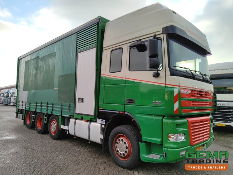 DAF FAK XF95.430 8x2 SuperSpaceCab Euro3 - CurtainSider 7.31m + Ramp 16T - MachineTransporter - 6 Persons (V558) - Автовоз камион: снимка 3 DAF FAK XF95.430 8x2 SuperSpaceCab Euro3 - CurtainSider 7.31m + Ramp 16T - MachineTransporter - 6 Persons (V558) - Автовоз камион: снимка 3