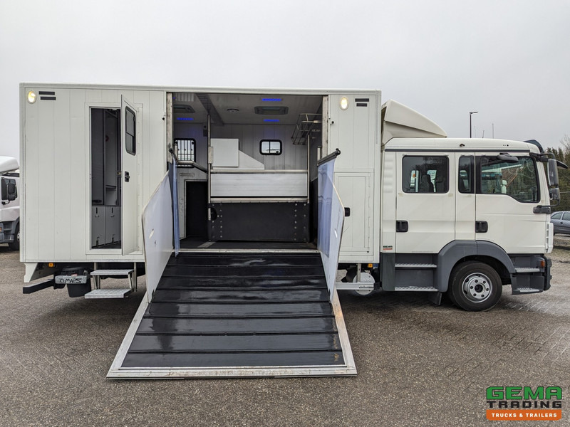 Лизинг на MAN TGL 12.180 4x2 DoKa 7 pers. Euro5 EEV - Paardenwagen 2-Paards - 147.000km! - MARGE MAN TGL 12.180 4x2 DoKa 7 pers. Euro5 EEV - Paardenwagen 2-Paards - 147.000km! - MARGE: снимка 9