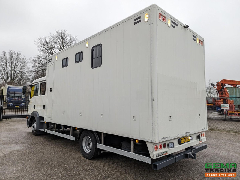 MAN TGL 12.180 4x2 DoKa 7 pers. Euro5 EEV - Paardenwagen 2-Paards - 147.000km! - MARGE - Камион за коне: снимка 4 MAN TGL 12.180 4x2 DoKa 7 pers. Euro5 EEV - Paardenwagen 2-Paards - 147.000km! - MARGE - Камион за коне: снимка 4