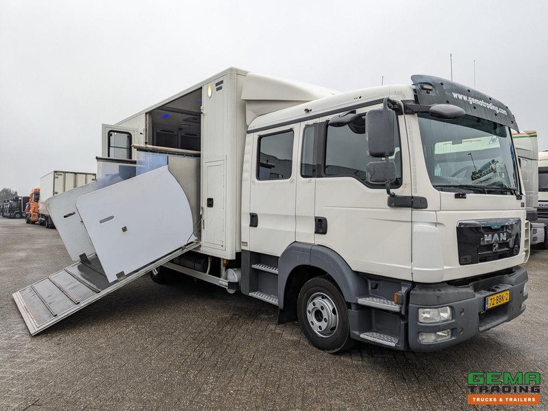 MAN TGL 12.180 4x2 DoKa 7 pers. Euro5 EEV - Paardenwagen 2-Paards - 147.000km! - MARGE - Камион за коне: снимка 1 MAN TGL 12.180 4x2 DoKa 7 pers. Euro5 EEV - Paardenwagen 2-Paards - 147.000km! - MARGE - Камион за коне: снимка 1