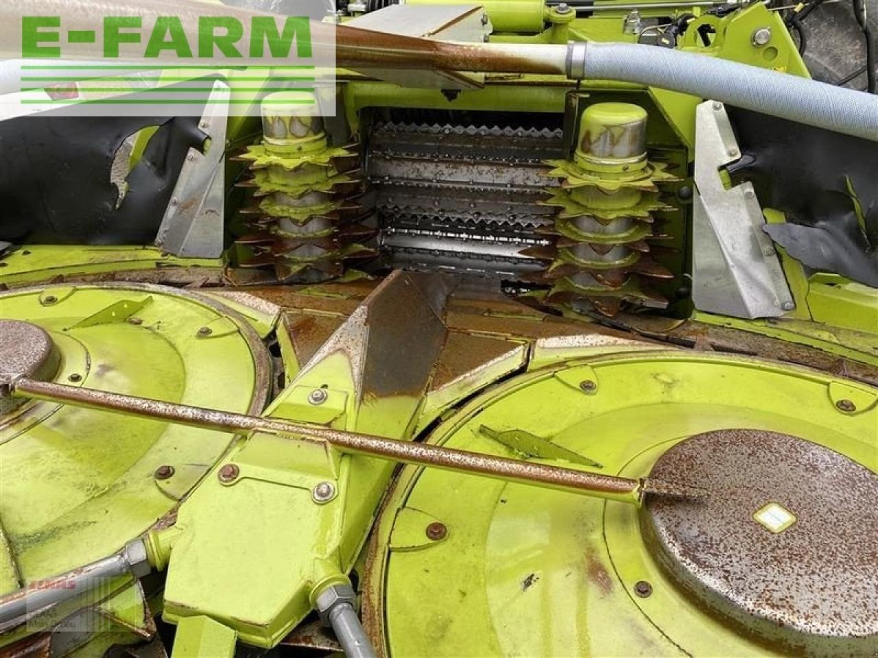 CLAAS orbis 600 sd 3t - Принадлежност за силажокомбайн: снимка 5 CLAAS orbis 600 sd 3t - Принадлежност за силажокомбайн: снимка 5