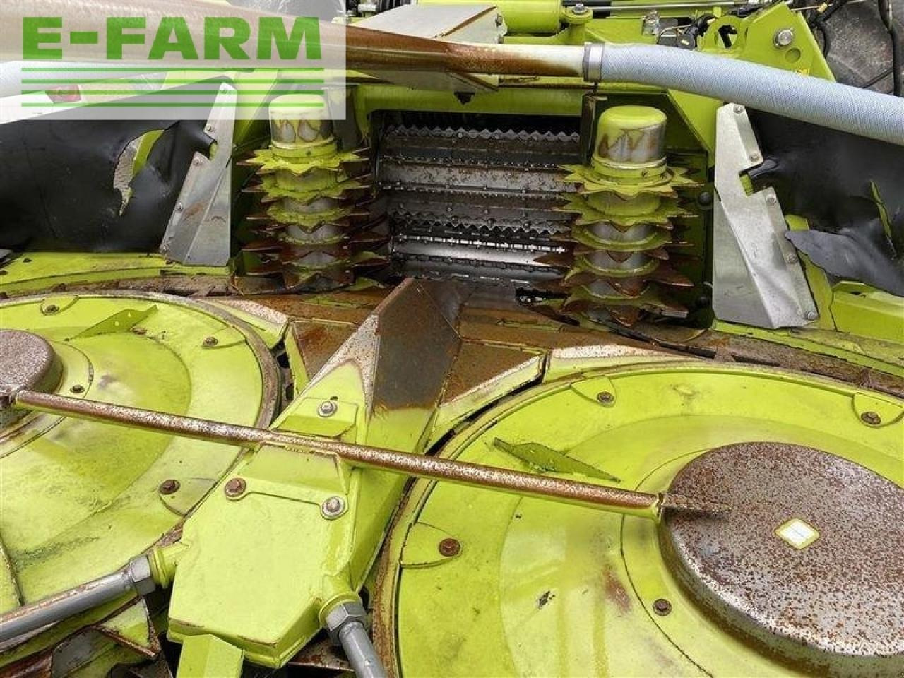 CLAAS orbis 600 sd 3t - Принадлежност за силажокомбайн: снимка 5 CLAAS orbis 600 sd 3t - Принадлежност за силажокомбайн: снимка 5