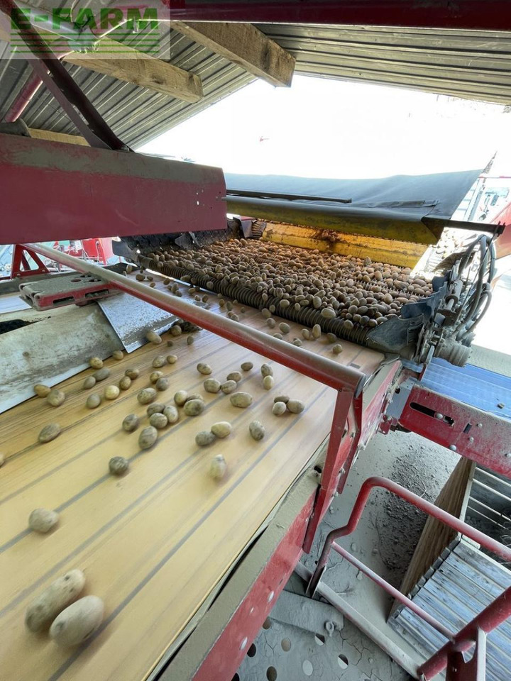 Grimme rh24-60 combi - Картофокомбайн: снимка 5 Grimme rh24-60 combi - Картофокомбайн: снимка 5