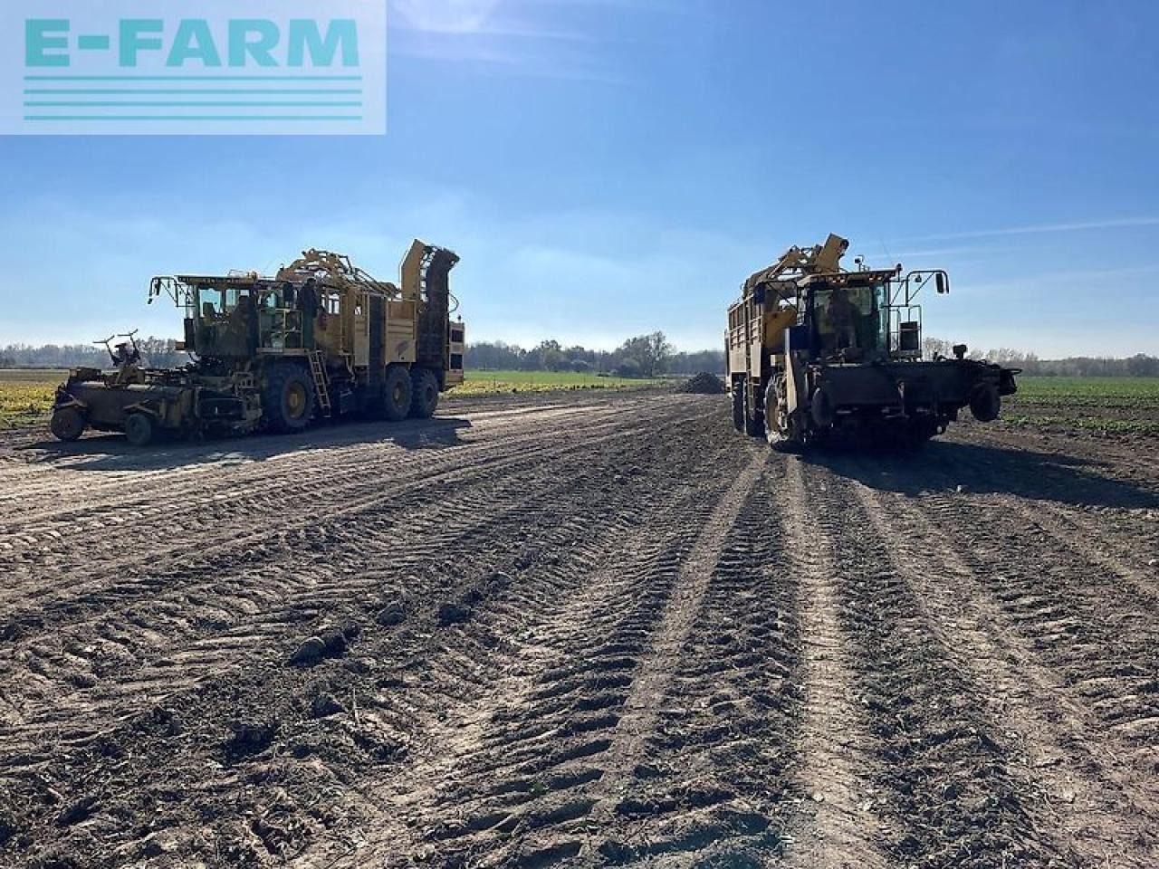 Комбайн за цвекло Ropa euro tiger: снимка 39 Комбайн за цвекло Ropa euro tiger: снимка 39