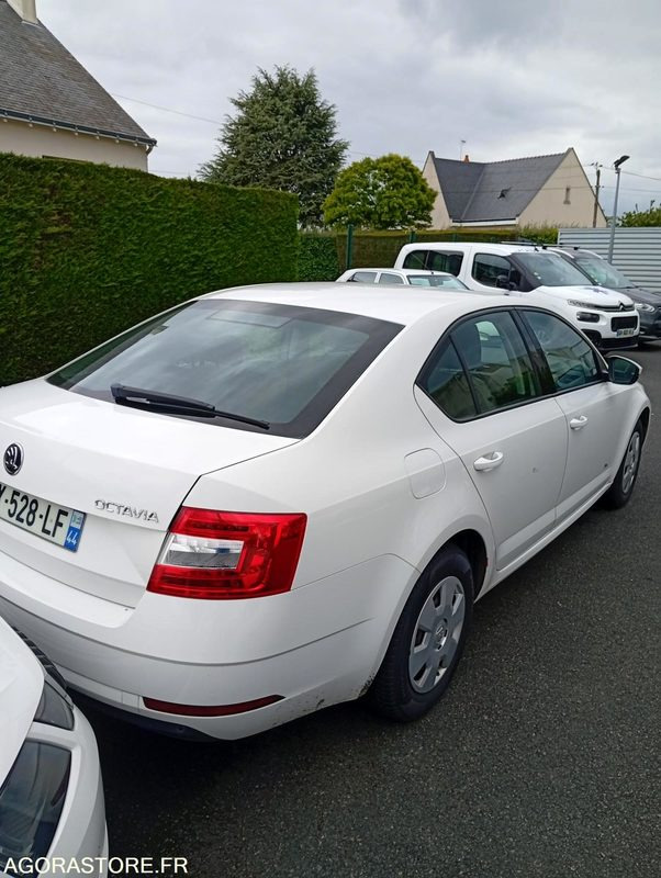 EY-528-LF - Roulant - SKODA OCTAVIA - VP - 421 000 Kms - Лек автомобил: снимка 4 EY-528-LF - Roulant - SKODA OCTAVIA - VP - 421 000 Kms - Лек автомобил: снимка 4