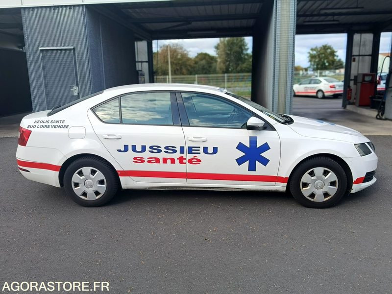 FB-732-ZZ - Non Roulant - SKODA OCTAVIA - VP - 309 757 Kms - Лек автомобил: снимка 1 FB-732-ZZ - Non Roulant - SKODA OCTAVIA - VP - 309 757 Kms - Лек автомобил: снимка 1