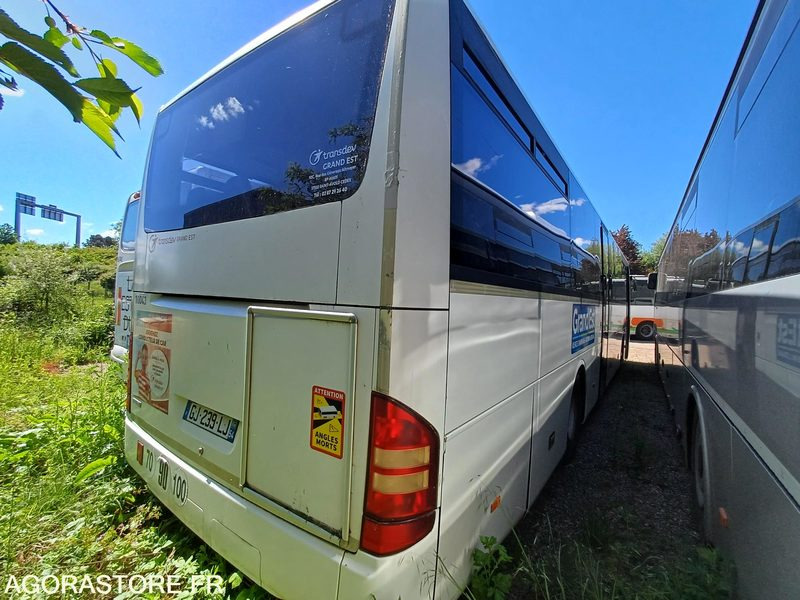 MERCEDES - INTOURO - 2007 / 531917KM - GJ239LJ (10043) - Училищен автобус: снимка 4 MERCEDES - INTOURO - 2007 / 531917KM - GJ239LJ (10043) - Училищен автобус: снимка 4