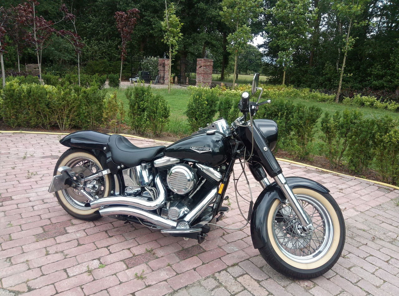 Harley-Davidson Custom Custom - Мотоциклет: снимка 4 Harley-Davidson Custom Custom - Мотоциклет: снимка 4