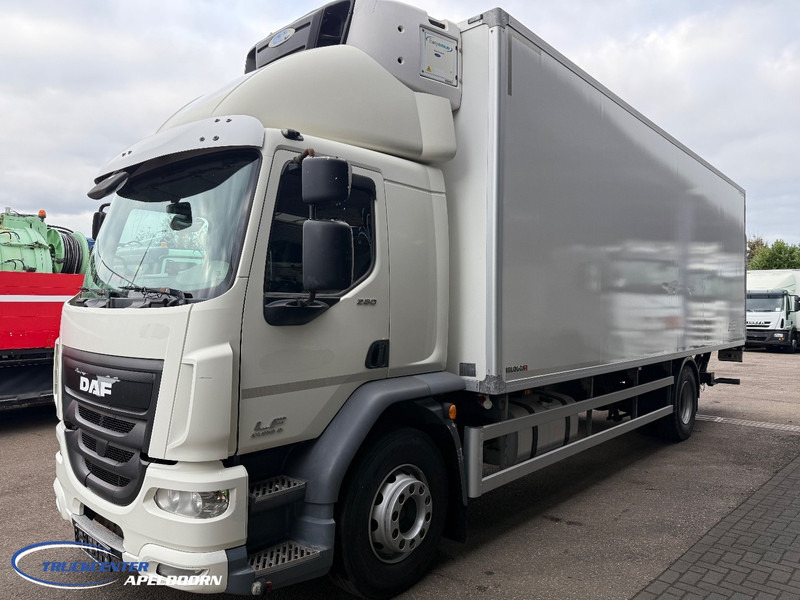 DAF LF 280 Euro 6, Carrier Supra, Olie in het koelwater - Рефрижератор камион: снимка 3 DAF LF 280 Euro 6, Carrier Supra, Olie in het koelwater - Рефрижератор камион: снимка 3