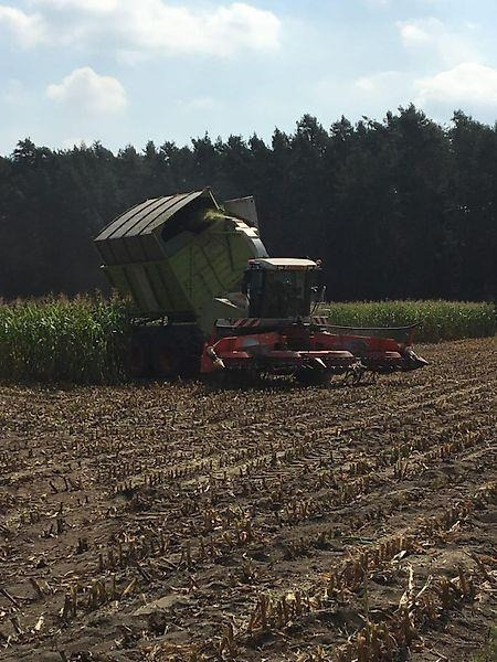 Claas Jaguar 900 Field Shuttle C 35 - Селскостопанска техника: снимка 5 Claas Jaguar 900 Field Shuttle C 35 - Селскостопанска техника: снимка 5