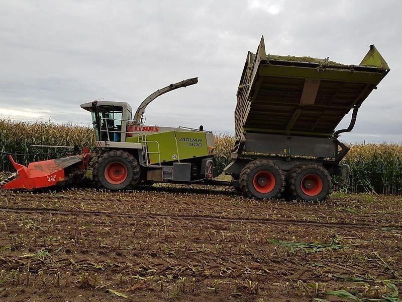 Claas Jaguar 900 Field Shuttle C 35 - Селскостопанска техника: снимка 4 Claas Jaguar 900 Field Shuttle C 35 - Селскостопанска техника: снимка 4