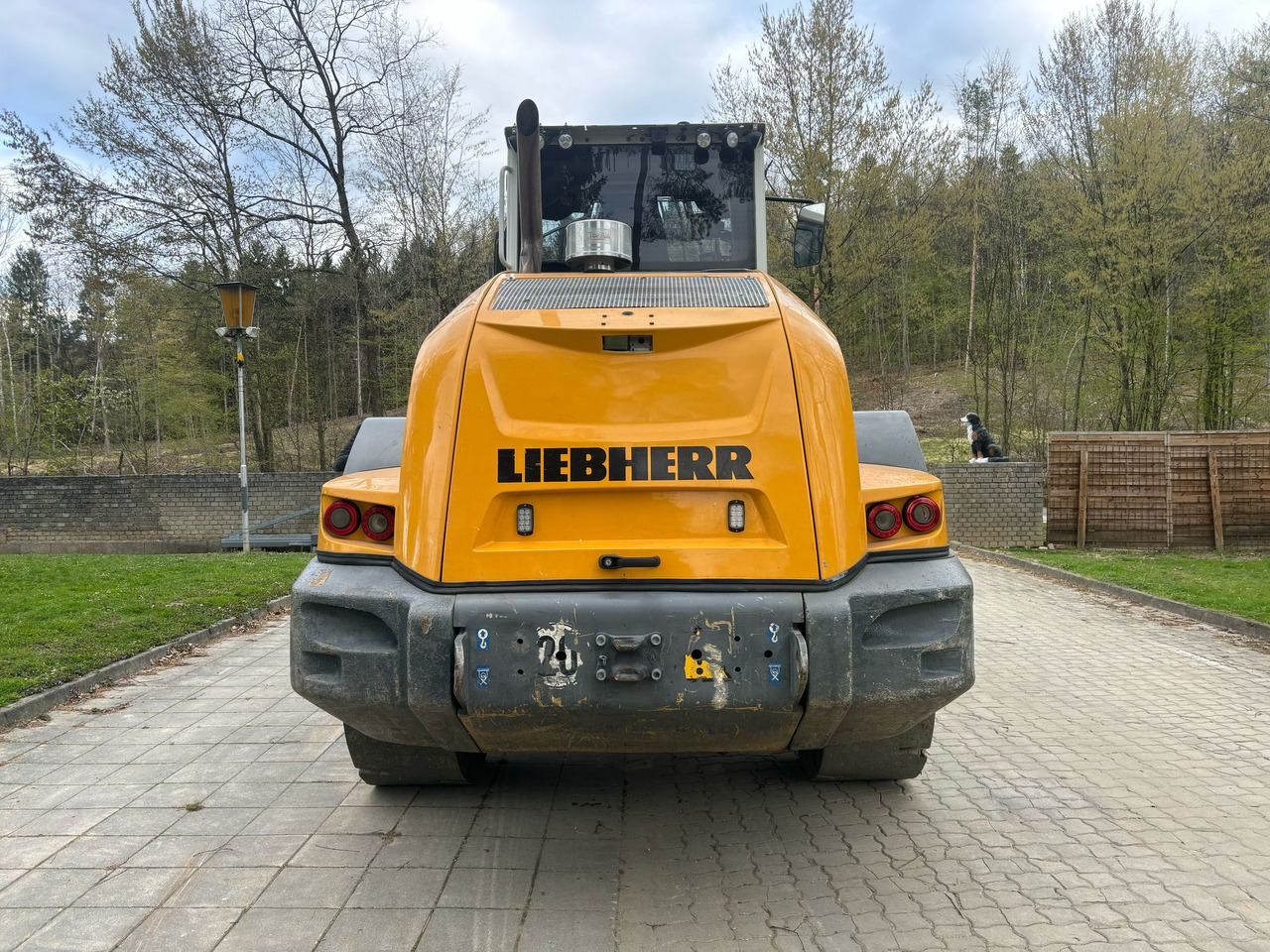 Лизинг на LIEBHERR L 526 LIEBHERR L 526: снимка 13