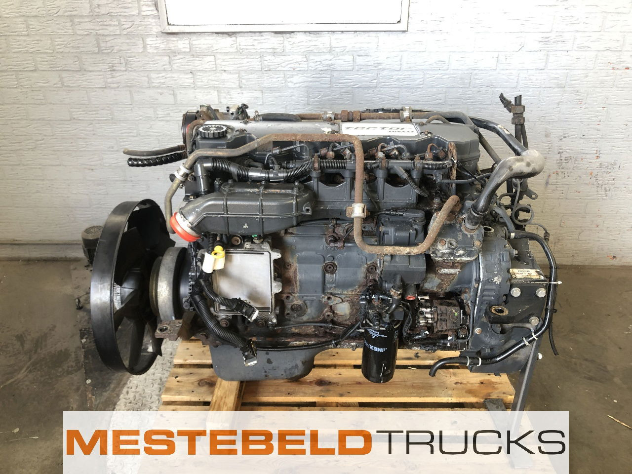 Iveco Motor tector F4AE3681B E4 - Двигател за Камион: снимка 1 Iveco Motor tector F4AE3681B E4 - Двигател за Камион: снимка 1
