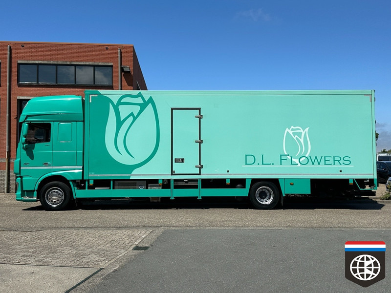 DAF XF 410 FA - Рефрижератор камион: снимка 3 DAF XF 410 FA - Рефрижератор камион: снимка 3