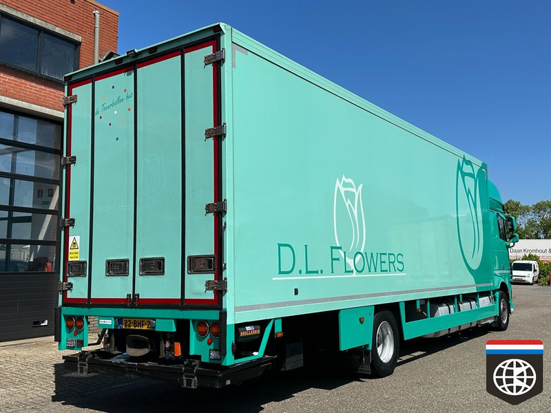 DAF XF 410 FA - Рефрижератор камион: снимка 5 DAF XF 410 FA - Рефрижератор камион: снимка 5