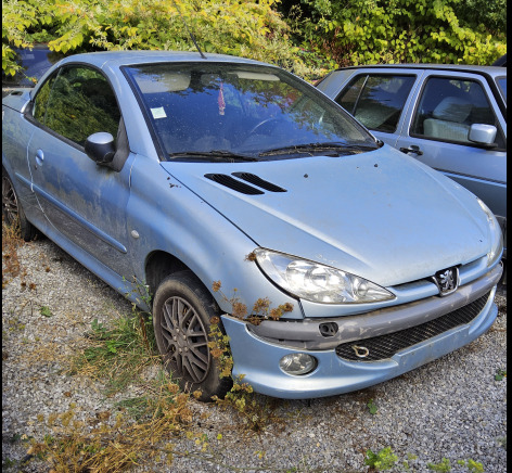 Peugeot 206 cabrio - Лек автомобил: снимка 1 Peugeot 206 cabrio - Лек автомобил: снимка 1