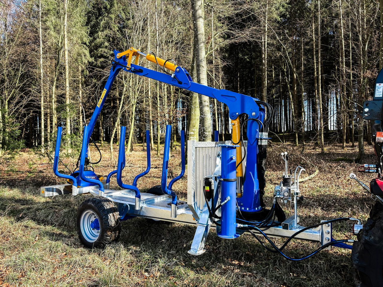 Binderberger Alpin 3t Holzrückewagen - Горско ремарке: снимка 1 Binderberger Alpin 3t Holzrückewagen - Горско ремарке: снимка 1