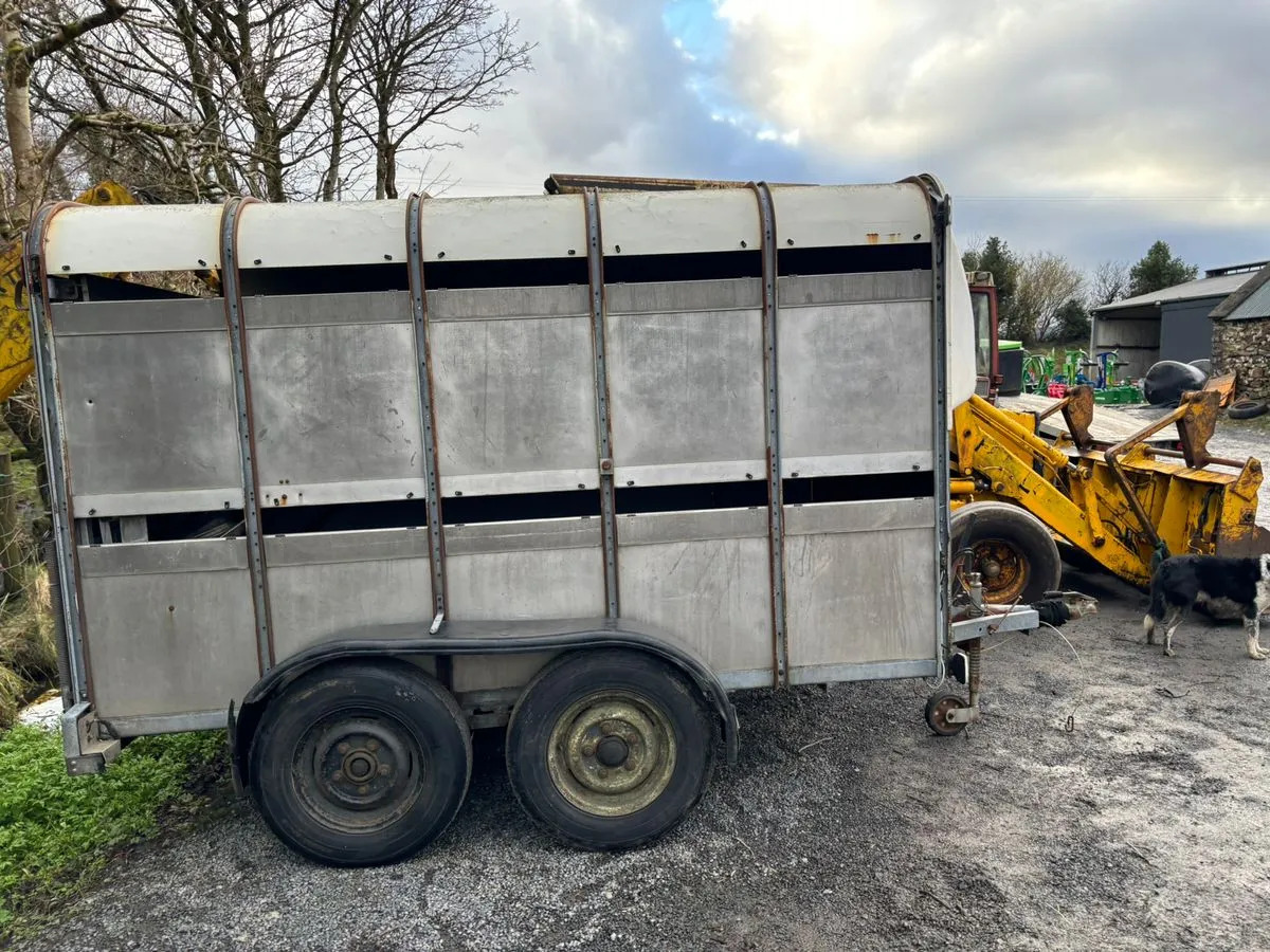 10X6 Ivor Williams - За превоз на животни ремарке: снимка 2 10X6 Ivor Williams - За превоз на животни ремарке: снимка 2