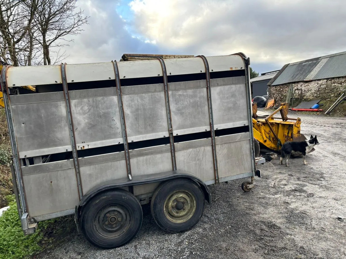 10X6 Ivor Williams - За превоз на животни ремарке: снимка 4 10X6 Ivor Williams - За превоз на животни ремарке: снимка 4