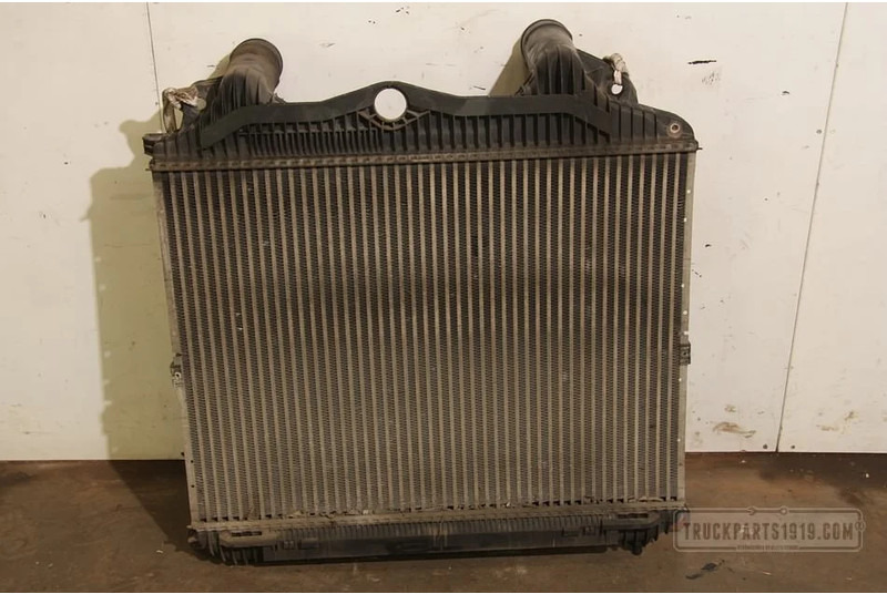 MAN TGA Cooling System Interkoeler TGA - Радиатор за Камион: снимка 1 MAN TGA Cooling System Interkoeler TGA - Радиатор за Камион: снимка 1