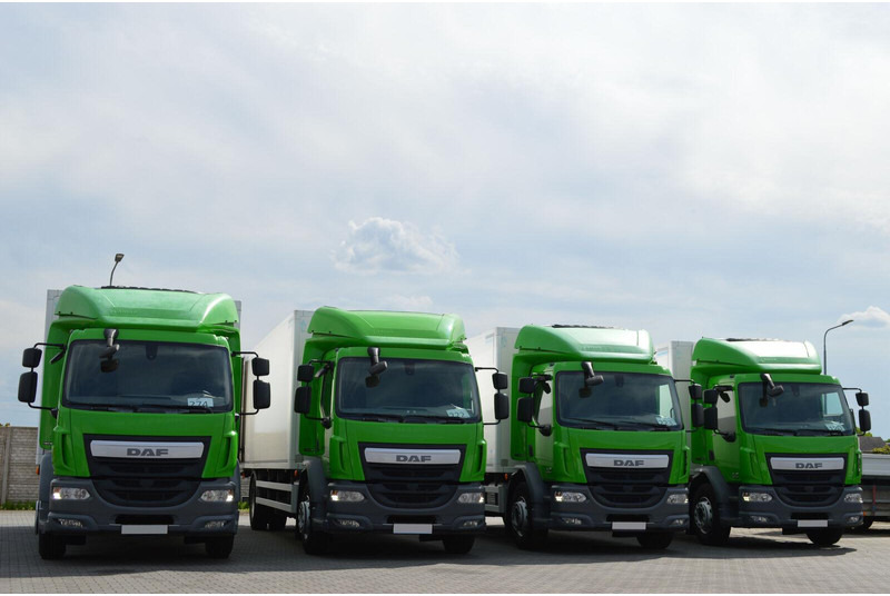 DAF LF 320 - Рефрижератор камион: снимка 2 DAF LF 320 - Рефрижератор камион: снимка 2