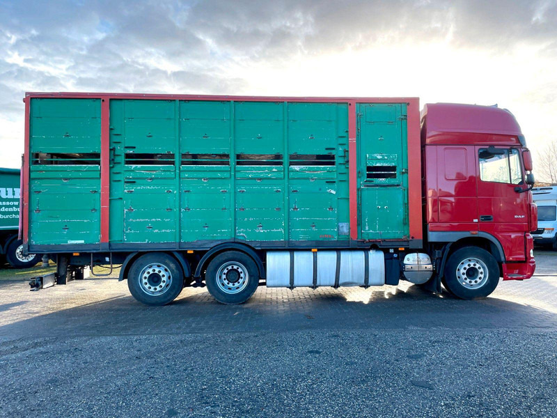 DAF XF 105.460 2-Stock Finkl Viehaufbau / Lenkachs - За превоз на животни камион: снимка 4 DAF XF 105.460 2-Stock Finkl Viehaufbau / Lenkachs - За превоз на животни камион: снимка 4