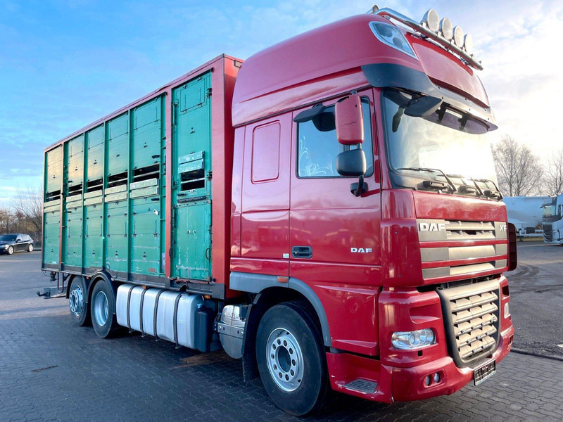 DAF XF 105.460 2-Stock Finkl Viehaufbau / Lenkachs - За превоз на животни камион: снимка 1 DAF XF 105.460 2-Stock Finkl Viehaufbau / Lenkachs - За превоз на животни камион: снимка 1