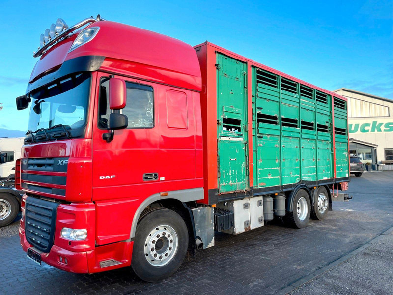 DAF XF 105.460 2-Stock Finkl Viehaufbau / Lenkachs - За превоз на животни камион: снимка 2 DAF XF 105.460 2-Stock Finkl Viehaufbau / Lenkachs - За превоз на животни камион: снимка 2