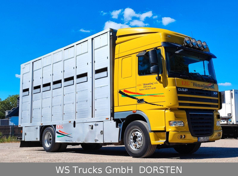 DAF XF410 Menke Doppelstock - За превоз на животни камион: снимка 3 DAF XF410 Menke Doppelstock - За превоз на животни камион: снимка 3