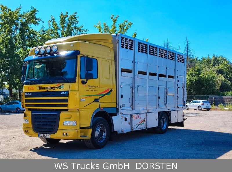 DAF XF410 Menke Doppelstock - За превоз на животни камион: снимка 1 DAF XF410 Menke Doppelstock - За превоз на животни камион: снимка 1