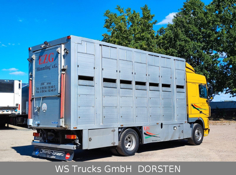 DAF XF410 Menke Doppelstock - За превоз на животни камион: снимка 5 DAF XF410 Menke Doppelstock - За превоз на животни камион: снимка 5