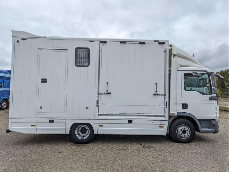 MAN TGL 12.250 - Horse transporter - Камион за коне: снимка 5 MAN TGL 12.250 - Horse transporter - Камион за коне: снимка 5