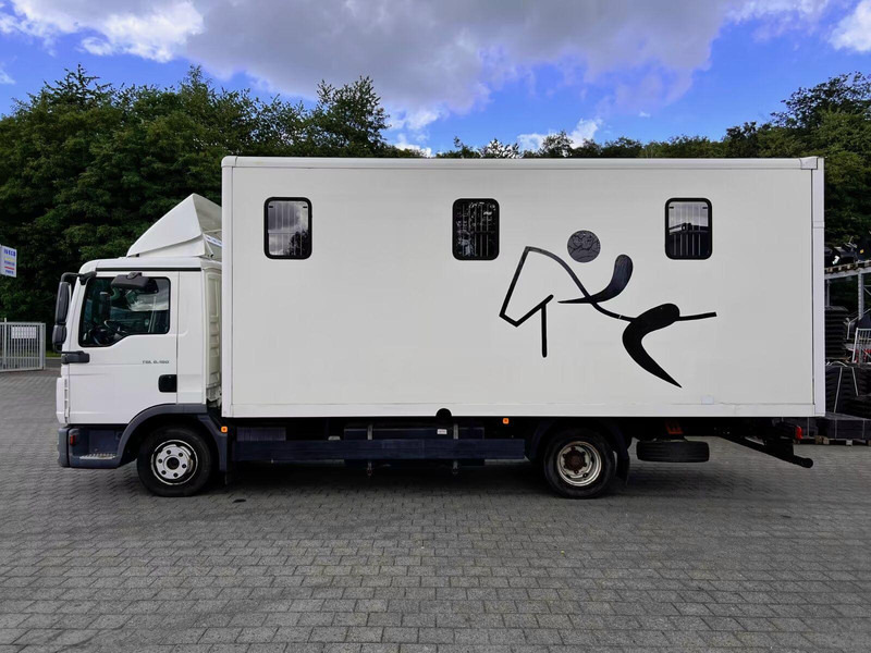 MAN TGL 8.180 - Horse transporter - Камион за коне: снимка 3 MAN TGL 8.180 - Horse transporter - Камион за коне: снимка 3