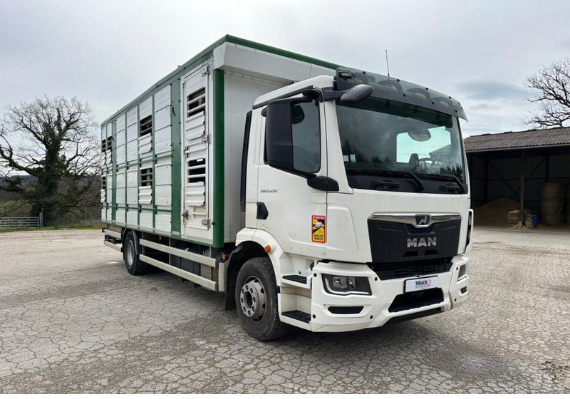 MAN TGM 15.290 Livestock Double Deck - За превоз на животни камион: снимка 3 MAN TGM 15.290 Livestock Double Deck - За превоз на животни камион: снимка 3