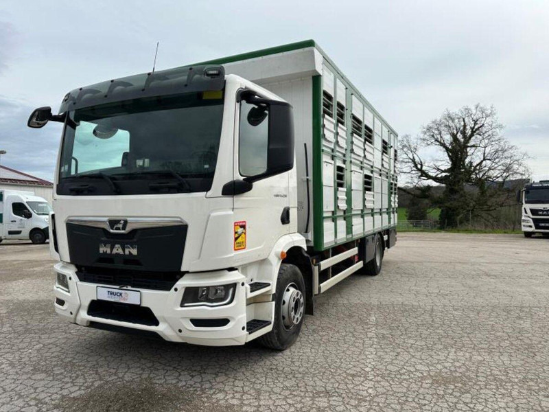 MAN TGM 15.290 Livestock Double Deck - За превоз на животни камион: снимка 4 MAN TGM 15.290 Livestock Double Deck - За превоз на животни камион: снимка 4
