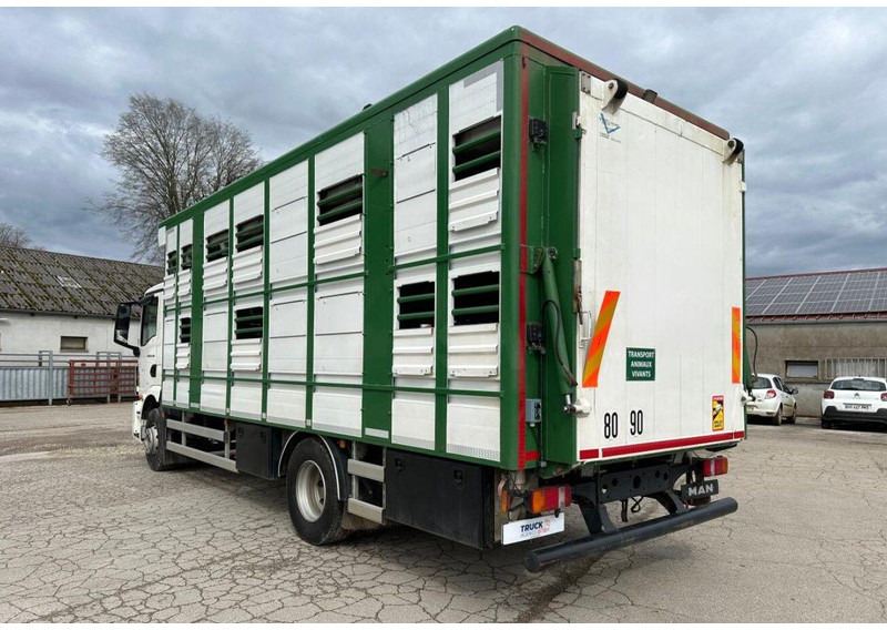 MAN TGM 15.290 Livestock Double Deck - За превоз на животни камион: снимка 5 MAN TGM 15.290 Livestock Double Deck - За превоз на животни камион: снимка 5