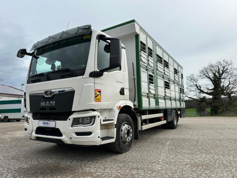 MAN TGM 15.290 Livestock Double Deck - За превоз на животни камион: снимка 2 MAN TGM 15.290 Livestock Double Deck - За превоз на животни камион: снимка 2