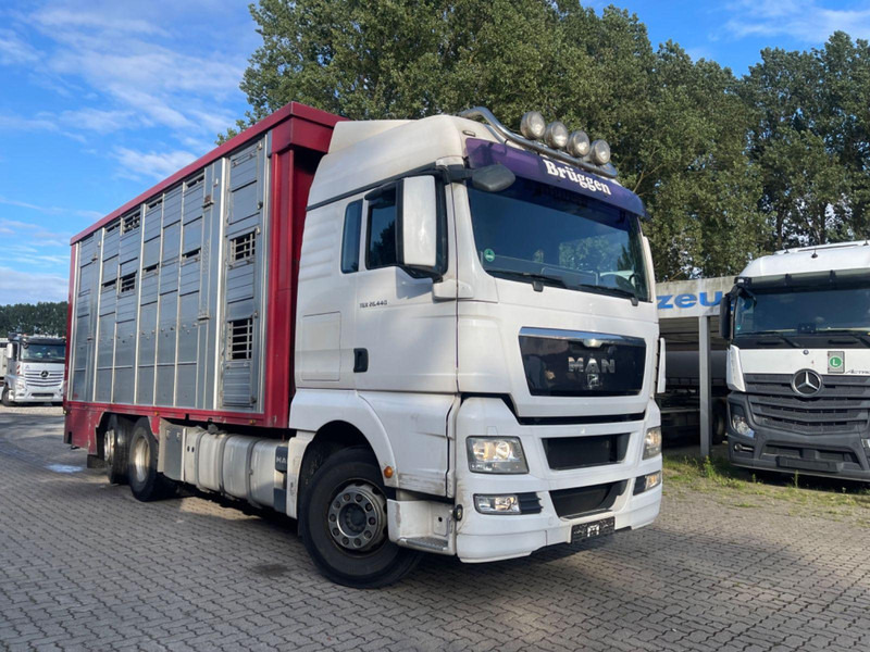 MAN TGX 26.400 6x2-2 LL 3 Stück Finkl Hubdach - За превоз на животни камион: снимка 5 MAN TGX 26.400 6x2-2 LL 3 Stück Finkl Hubdach - За превоз на животни камион: снимка 5