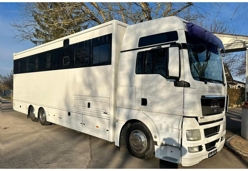 MAN TGX 26.440 - Horse transporter - Камион за коне: снимка 2 MAN TGX 26.440 - Horse transporter - Камион за коне: снимка 2