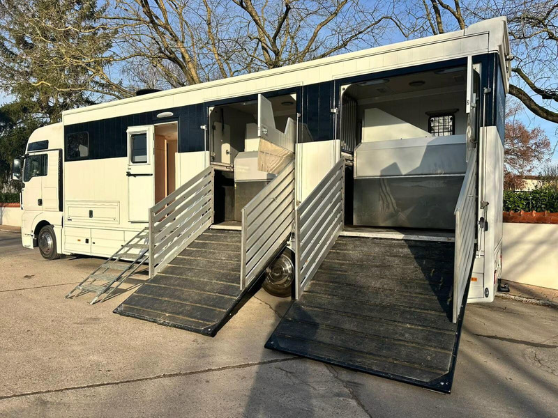 MAN TGX 26.440 - Horse transporter - Камион за коне: снимка 5 MAN TGX 26.440 - Horse transporter - Камион за коне: снимка 5