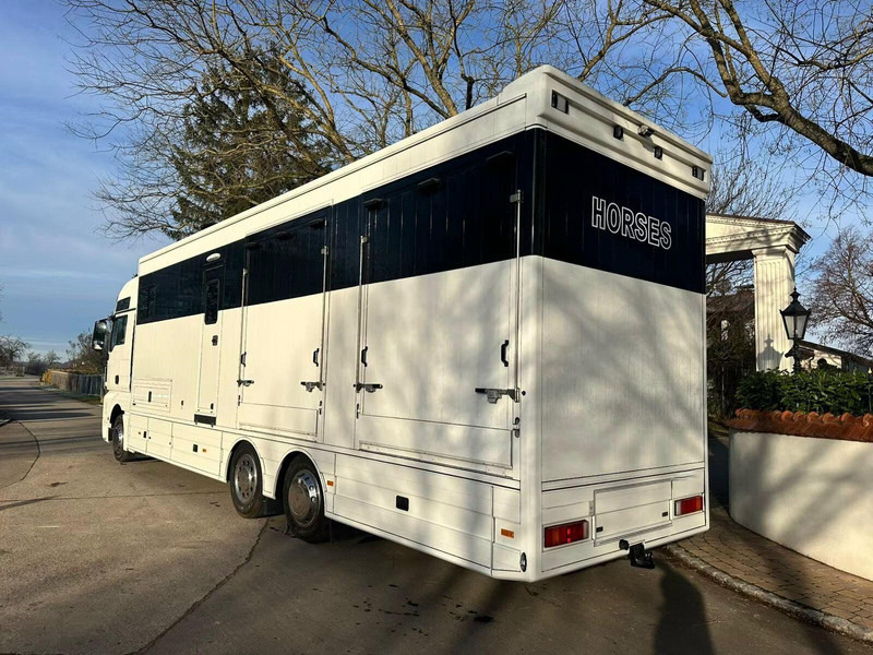 MAN TGX 26.440 - Horse transporter - Камион за коне: снимка 4 MAN TGX 26.440 - Horse transporter - Камион за коне: снимка 4