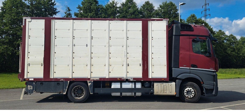 Mercedes-Benz Actros 1851 - За превоз на животни камион: снимка 2 Mercedes-Benz Actros 1851 - За превоз на животни камион: снимка 2