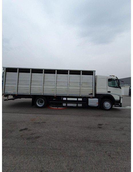 Volvo FM 500 Viehtransporter ( Rind / beef ) - За превоз на животни камион: снимка 4 Volvo FM 500 Viehtransporter ( Rind / beef ) - За превоз на животни камион: снимка 4