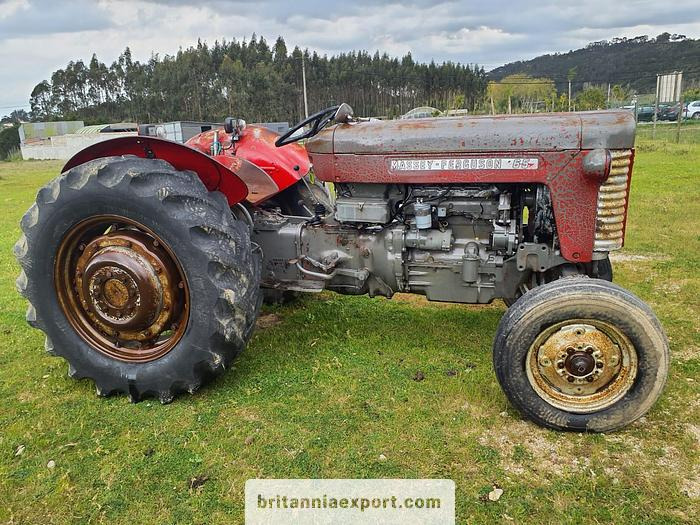 Massey Ferguson 65 | 4 cylinder diesel | disc brakes - Трактор: снимка 1 Massey Ferguson 65 | 4 cylinder diesel | disc brakes - Трактор: снимка 1
