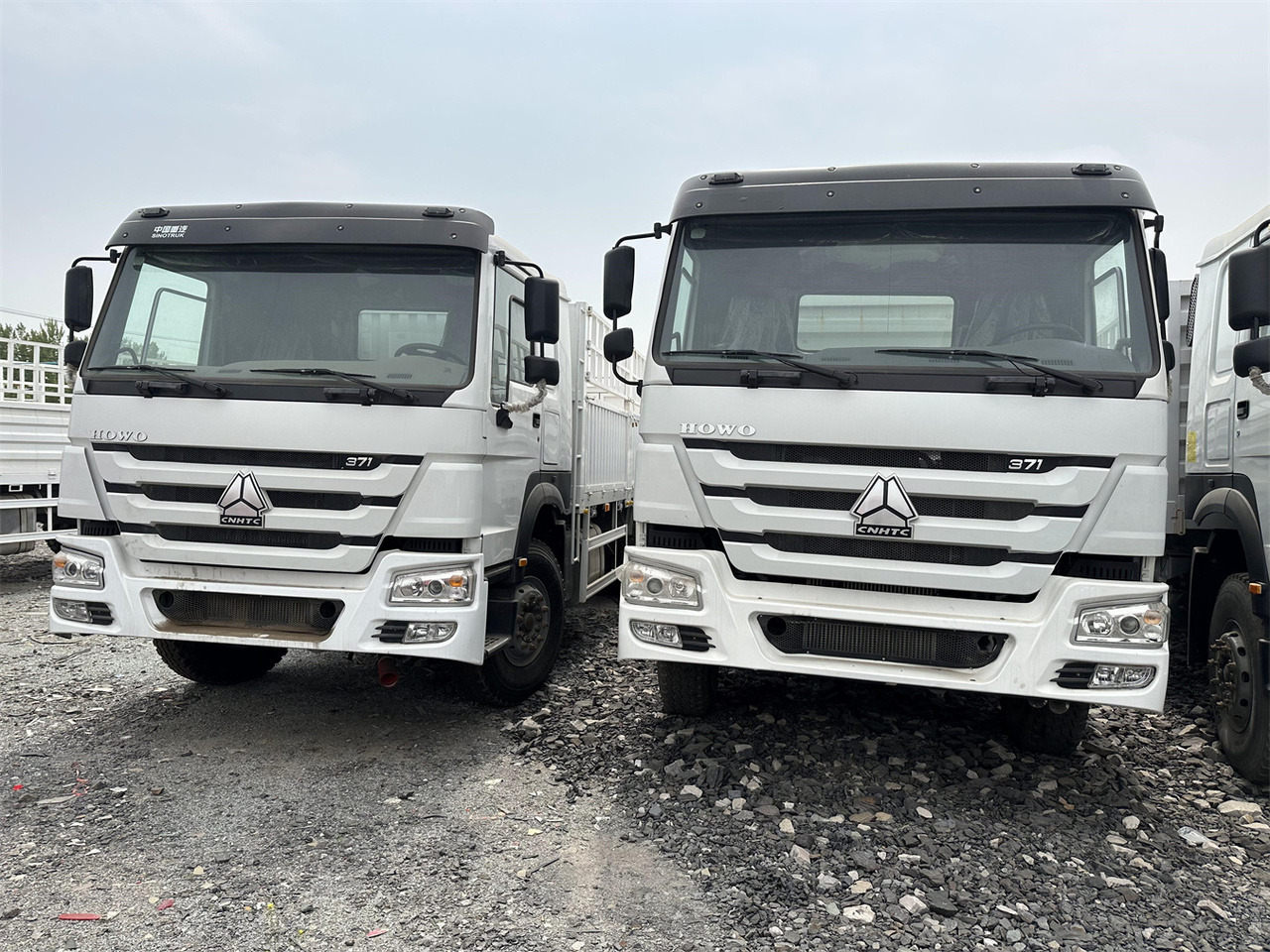 SINOTRUK HOWO 371 Cargo truck - За превоз на животни камион: снимка 1 SINOTRUK HOWO 371 Cargo truck - За превоз на животни камион: снимка 1