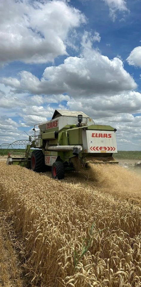 Claas MEGA 218 - Зърнокомбайн: снимка 5 Claas MEGA 218 - Зърнокомбайн: снимка 5