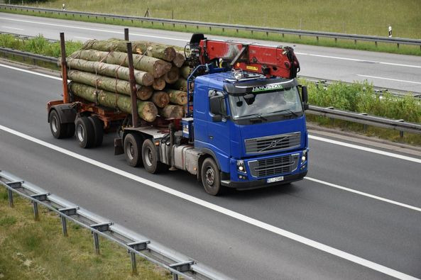 VOLVO FH16 700 6×4 - Камион за дърва: снимка 2 VOLVO FH16 700 6×4 - Камион за дърва: снимка 2