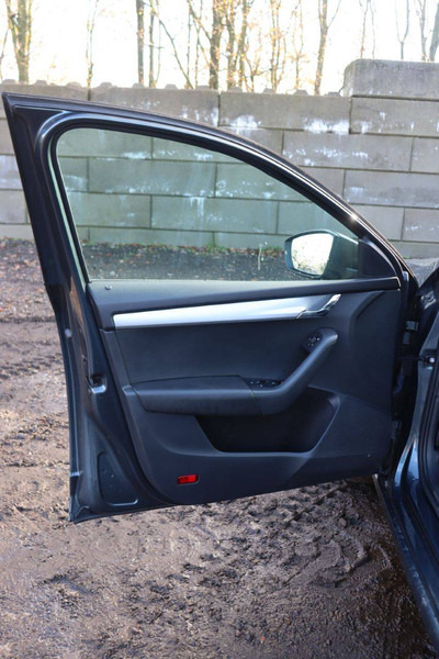 Лек автомобил Škoda Octavia: снимка 19